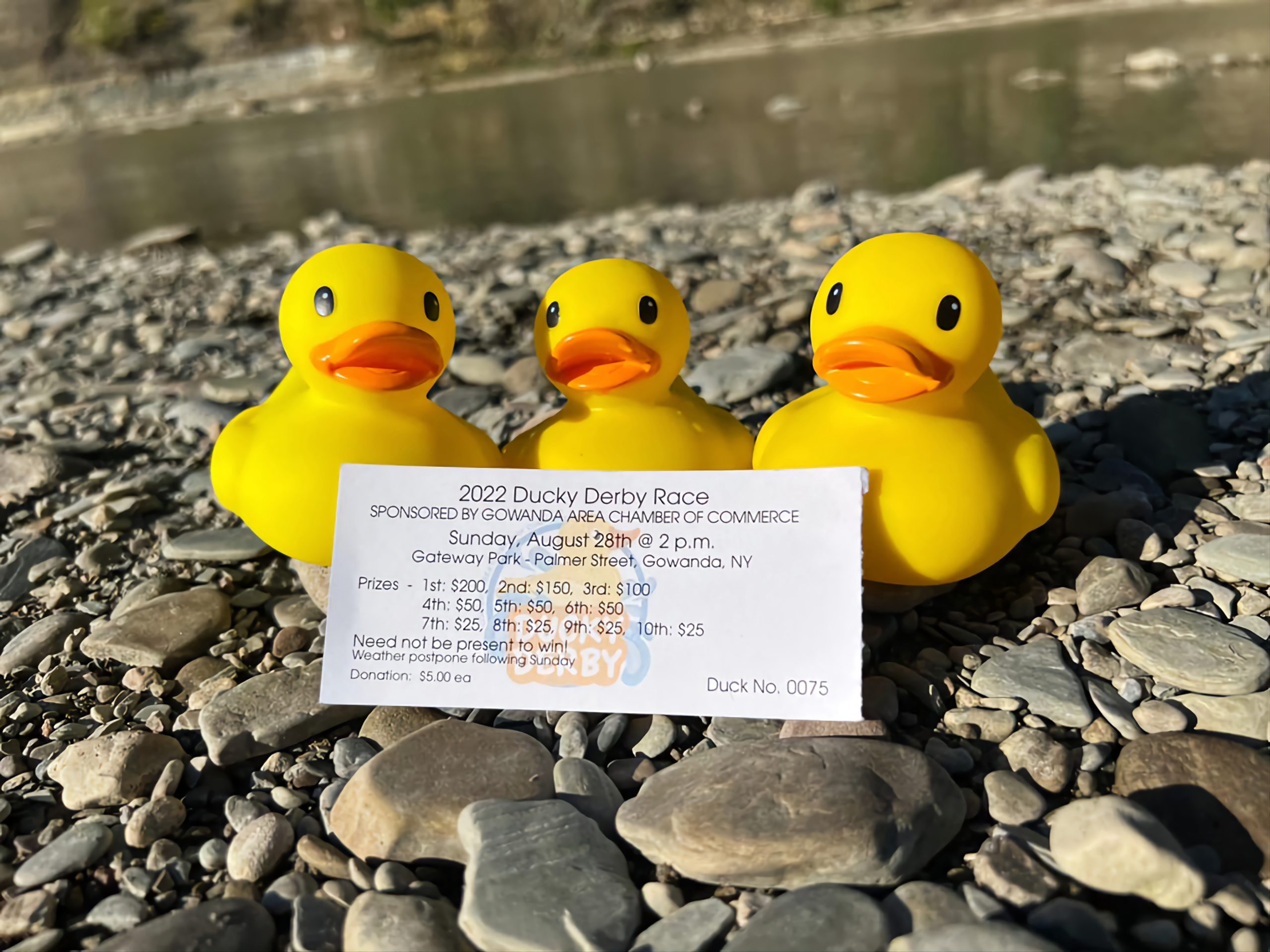 Read more about the article Ducky Derby Ticket Giveaway