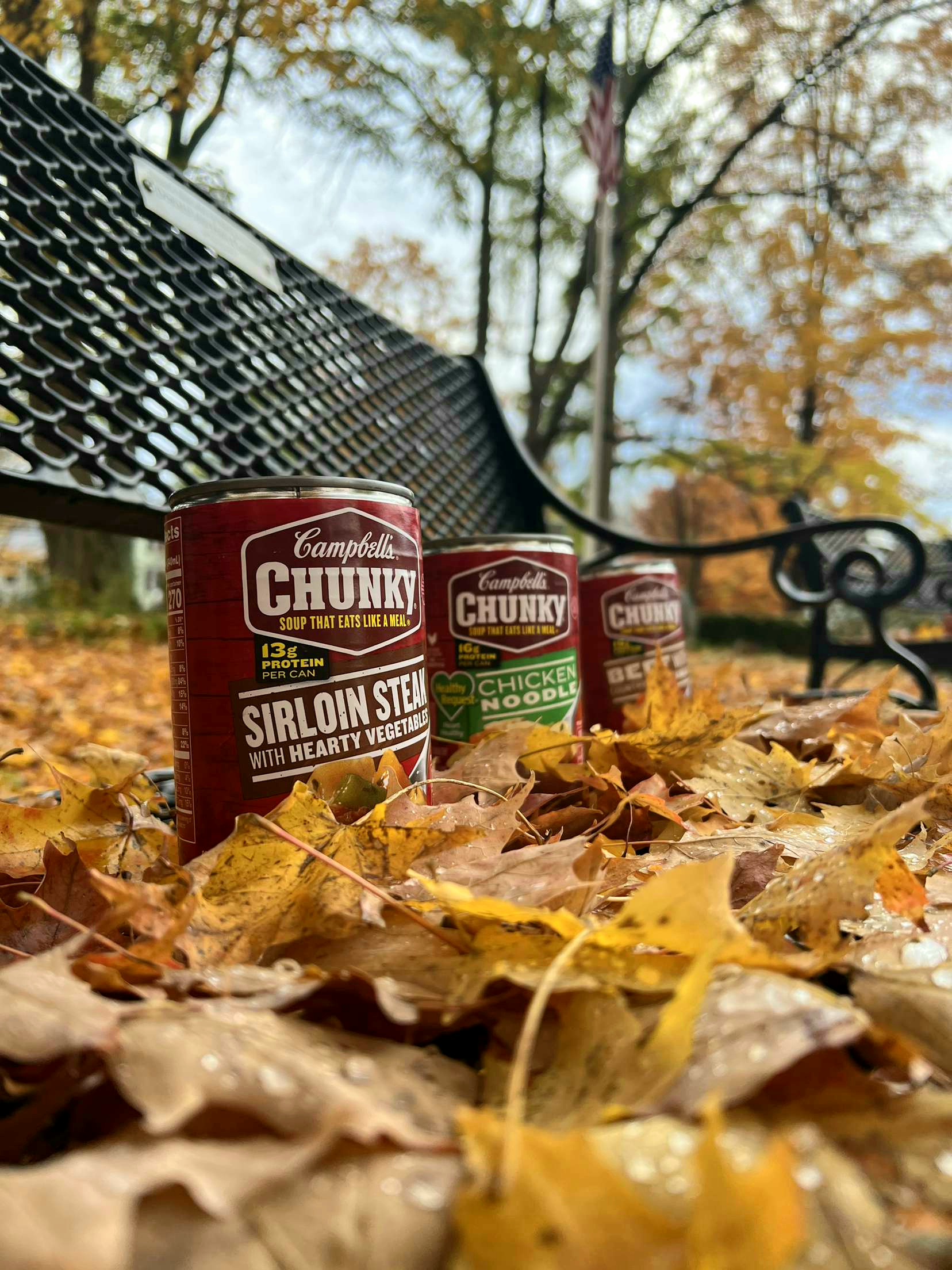 Read more about the article End Gowanda Hunger: October Monthly Food Donation