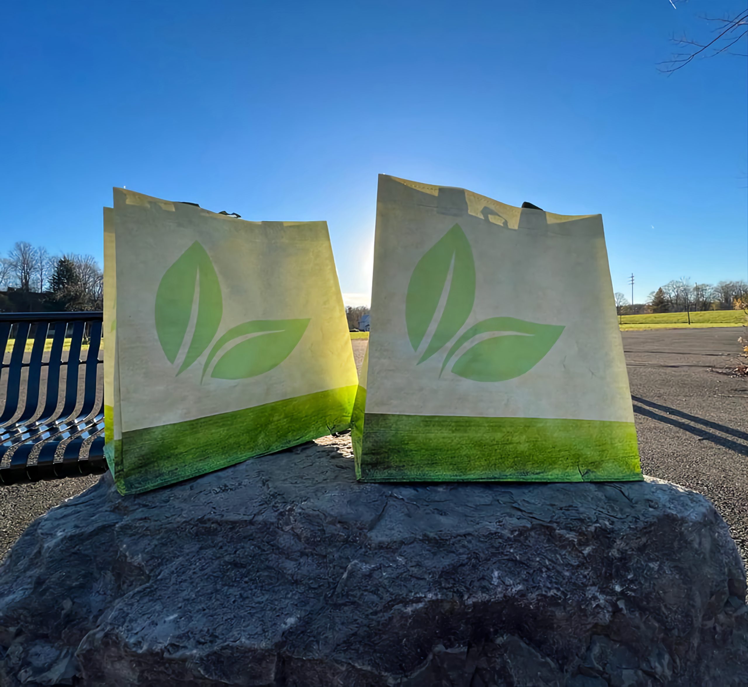 Read more about the article End Gowanda Hunger: Thanksgiving Reusable Bag Donation