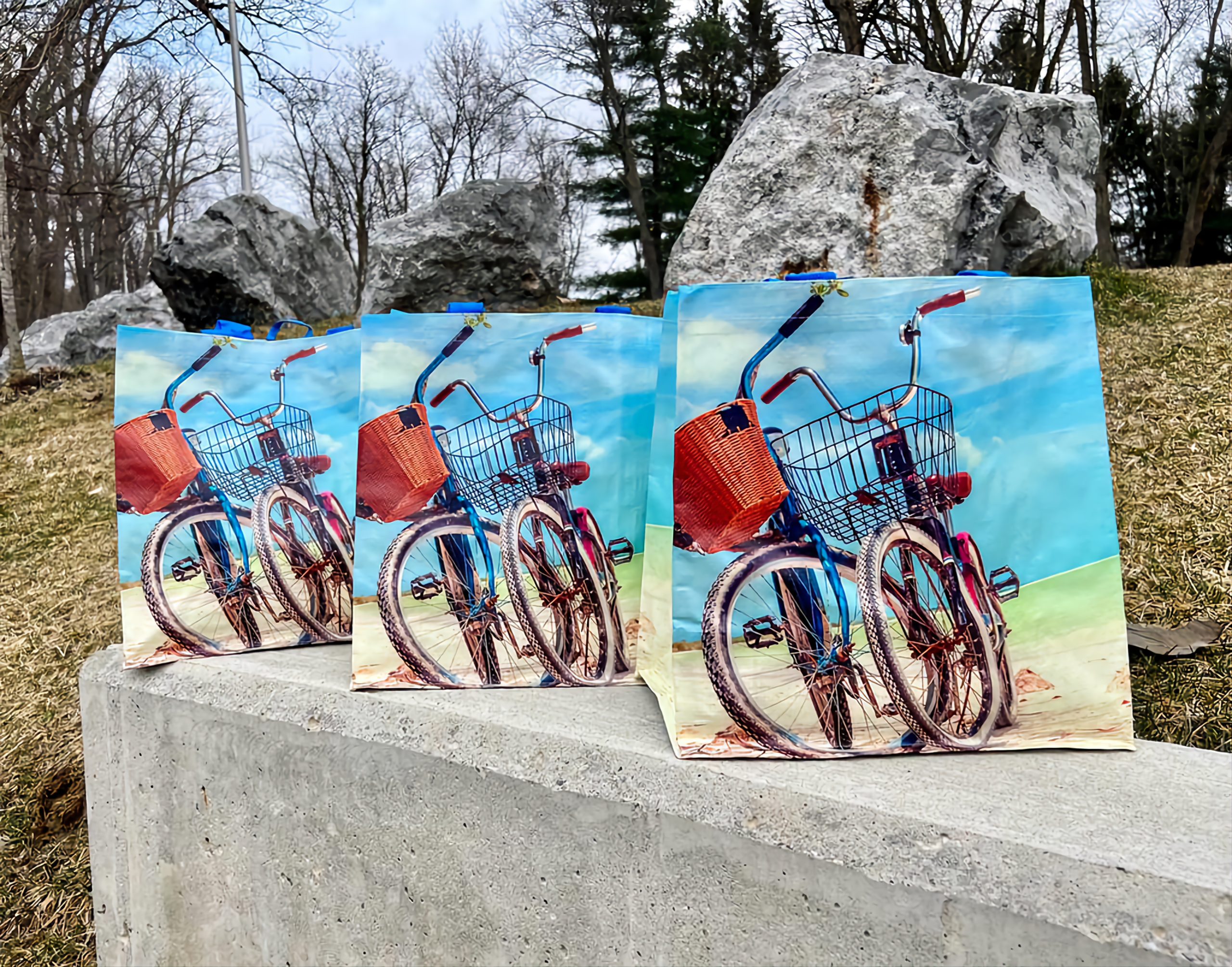 Read more about the article End Gowanda Hunger: March Reusable Bag Donation